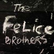 Felice Brothers (Felice Brothers)