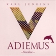 V Vocalise (Adiemus)