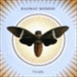 Cicada (Hazmat Modine)