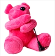 DJ Bears Huggy Speaker Pink (Kaiser Baas)