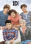One Direction - Bench Poster (One Direction)