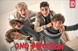 One Direction - Bundle Poster (One Direction)