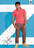 One Direction - Zayn (One Direction)