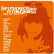 Splendour In The Grass (Various)
