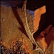 Mustt Mustt (Nusrat Fateh Ali Khan)