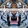 This Is War (30 Seconds To Mars)