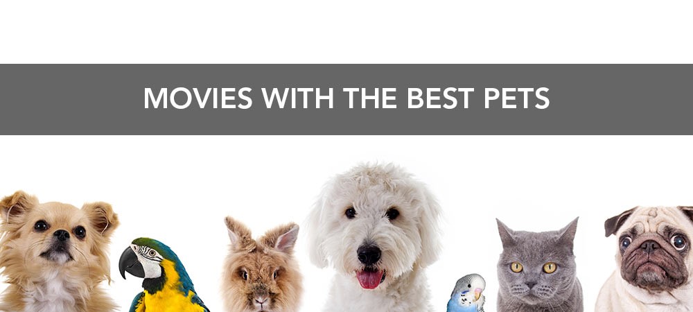 Movies With The Best Pets