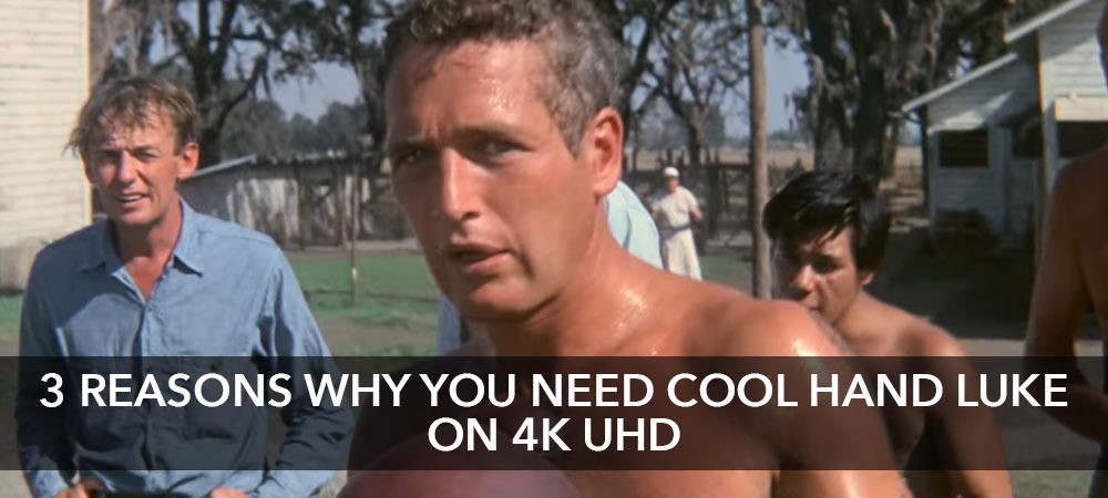 3 Reasons to Buy Cool Hand Luke on 4K UHD Now!