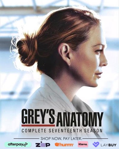 Buy Grey's Anatomy Season 17 on DVD