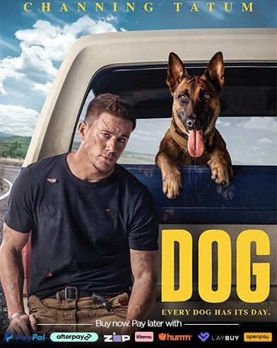 Buy Dog on DVD & Blu-ray