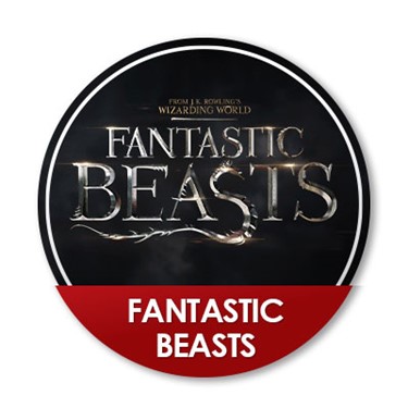 Shop All Fantastic Beasts Movies & Merch