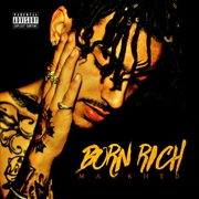 Buy Born Rich