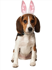 Buy Bunny Ears Pet Accessory - Size M-L