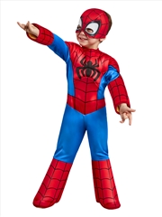 Buy Spidey Deluxe (Sahaf) Costume - Size Toddler
