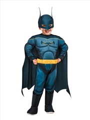 Buy Batman Dc Super Pets Costume - Size S (3-4)