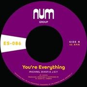 Buy You'Re Everything B/W You'Re A