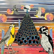 Buy Fly Or Die Fly Or Die Fly Or D