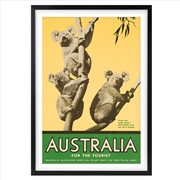 Buy Wall Art's Australia Koalas Large 105cm x 81cm Framed A1 Art Print