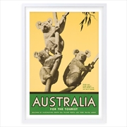Buy Wall Art's Australia Koalas Large 105cm x 81cm Framed A1 Art Print
