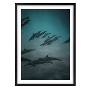 Buy Wall Art's Dolphins In The Deep Large 105cm x 81cm Framed A1 Art Print