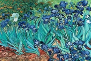 Buy Van Gogh - Les Irises