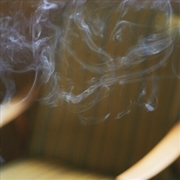 Buy Las Camelias, Tres Esquinas