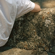 Buy Tender Membranes