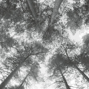 Buy Traveller Song/Thanksong