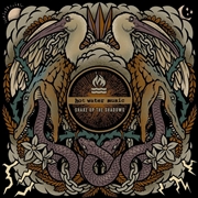 Buy Shake Up The Shadows (Vinyl)
