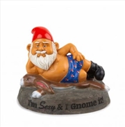 Buy BigMouth The Sexy & I Gnome It Garden Gnome