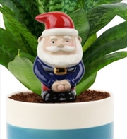 Buy Peeing Gnome – Self Watering Planter