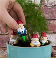 Buy Gift Republic – Plant Pot Gnomes