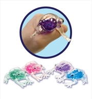 Buy Squish The Frog (SENT AT RANDOM)