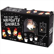 Buy Naughty Gnomes Planters
