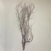 Buy Woodwind Multiples