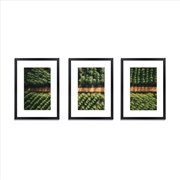 Buy 3 PCS Photo Frame Wall Set A3 Picture Home Decor Art Gift Present Black