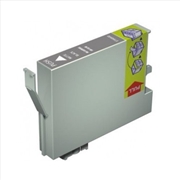 Buy Compatible Premium Ink Cartridges T0961  Photo Black Cartridge R2880 - for use in Epson Printers