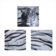 Buy Just Home Set of 3 Printed Blue Eyes Stripes Tiger Wall Canvas