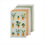 Buy Ladelle Set of 5 Plant Life Cotton Kitchen Tea Towels 50 x 70 cm Green