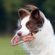 Buy Major Dog Frisbee Medium - Fetch Toy