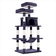 Buy Paw Mate 145cm Grey Cat Tree WHISKY Sisal Scratching Post Scratcher Pole Condo House Tower