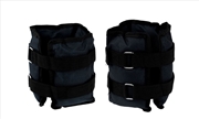 Buy Powertrain Sports Pair 2kg Ankle Weights Home Gym Equipment Wrist Fitness Yoga Training Weights