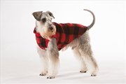 Buy Red Check Dog Pyjamas 35cm