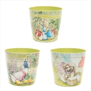 Buy Eco Pot Bamboo - Beatrix Potter Peter Rabbit (Set Of 3)