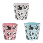 Buy Eco Pot Bamboo - Mickey & Minnie Mouse (Set Of 3)