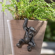 Buy Pot Buddies - Antique Bronze Chimpanzee