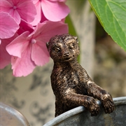 Buy Pot Buddies - Antique Bronze Meerkat