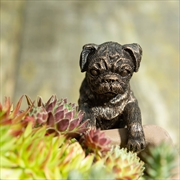 Buy Pot Buddies - Antique Bronze Pug