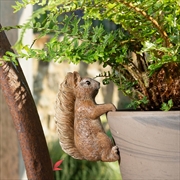 Buy Pot Buddies - Beatrix Potter Squirrel Nutkin