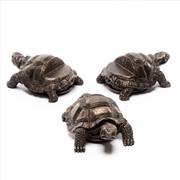 Buy Potty Feet - Antique Bronze Tortoise (Set Of 3)